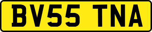 BV55TNA