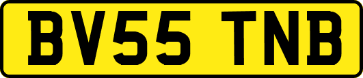 BV55TNB