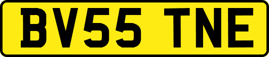 BV55TNE