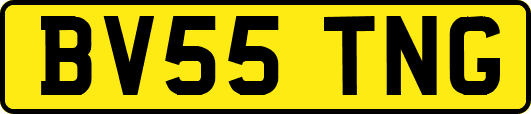 BV55TNG