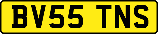 BV55TNS
