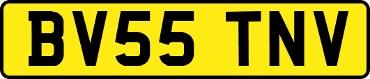 BV55TNV