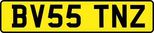 BV55TNZ
