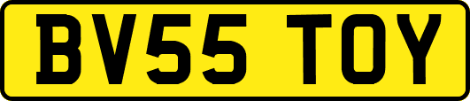 BV55TOY