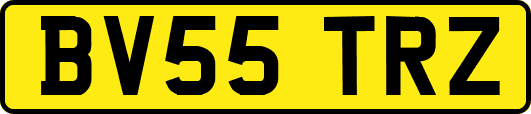 BV55TRZ