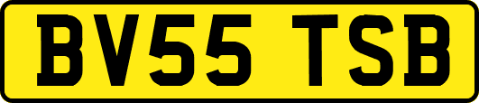 BV55TSB