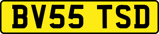 BV55TSD