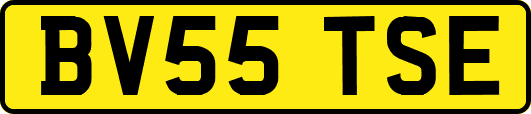 BV55TSE