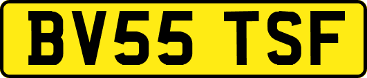 BV55TSF