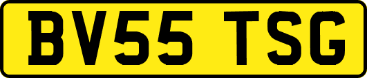 BV55TSG