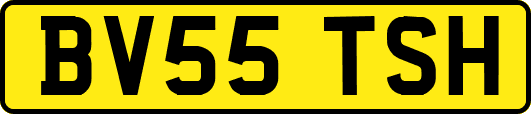 BV55TSH