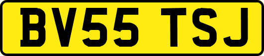 BV55TSJ