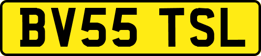 BV55TSL
