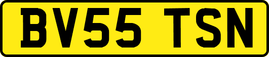 BV55TSN