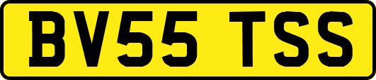 BV55TSS
