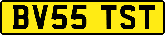 BV55TST