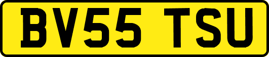 BV55TSU
