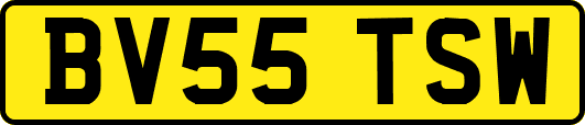 BV55TSW