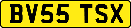 BV55TSX