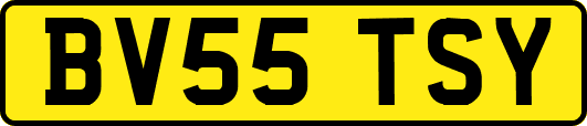 BV55TSY