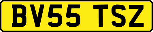 BV55TSZ