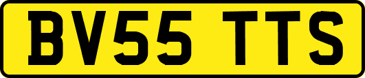 BV55TTS
