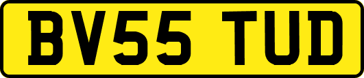 BV55TUD