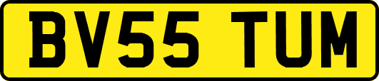 BV55TUM
