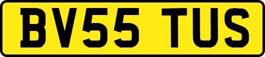 BV55TUS