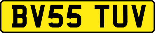 BV55TUV
