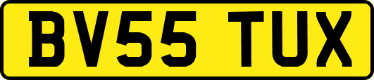 BV55TUX