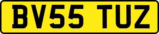 BV55TUZ
