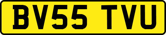 BV55TVU