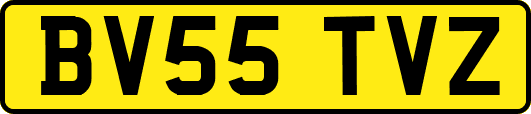 BV55TVZ
