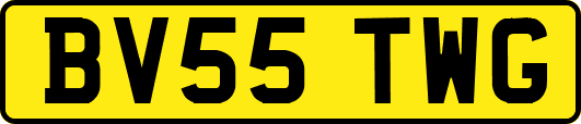 BV55TWG