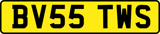 BV55TWS