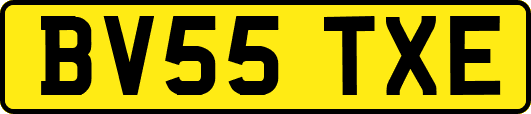 BV55TXE