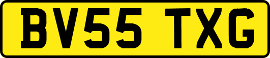 BV55TXG