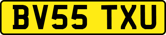 BV55TXU