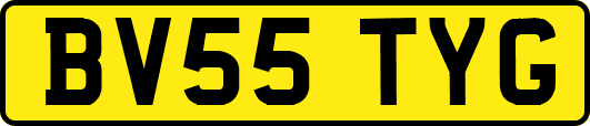 BV55TYG