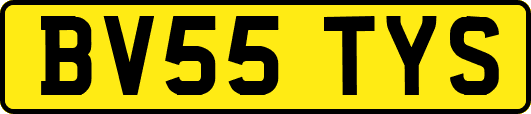 BV55TYS