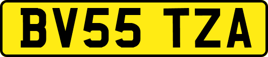 BV55TZA