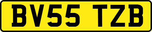 BV55TZB