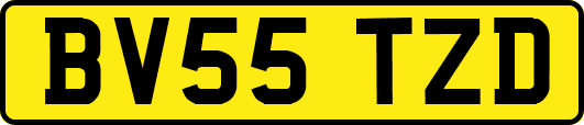 BV55TZD