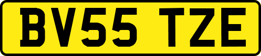 BV55TZE