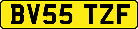 BV55TZF