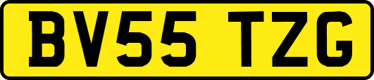 BV55TZG