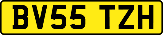 BV55TZH
