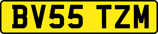 BV55TZM