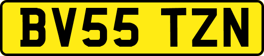 BV55TZN